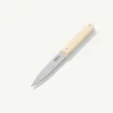 A paring knife with a light-colored handle is shown on a plain background.
