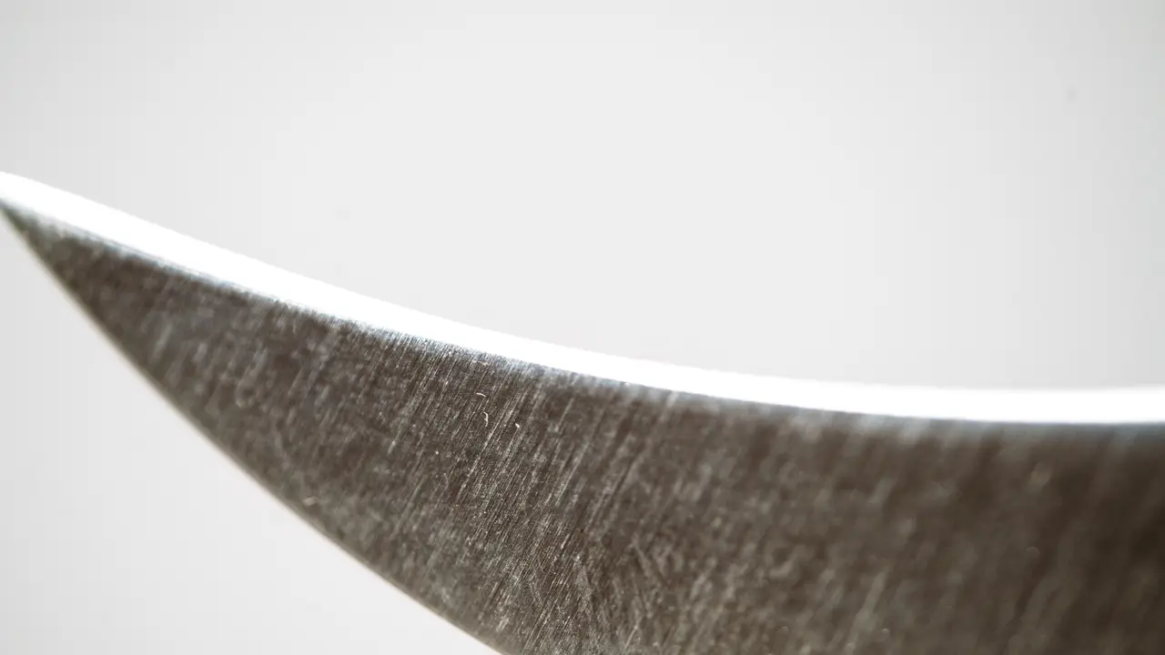 birds beak knife edge detail