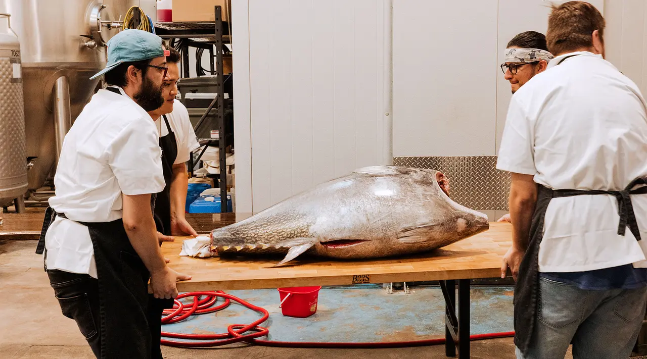 Three people in a kitchen looking at a large fish laid out on a table, possibly preparing to process it for cooking.