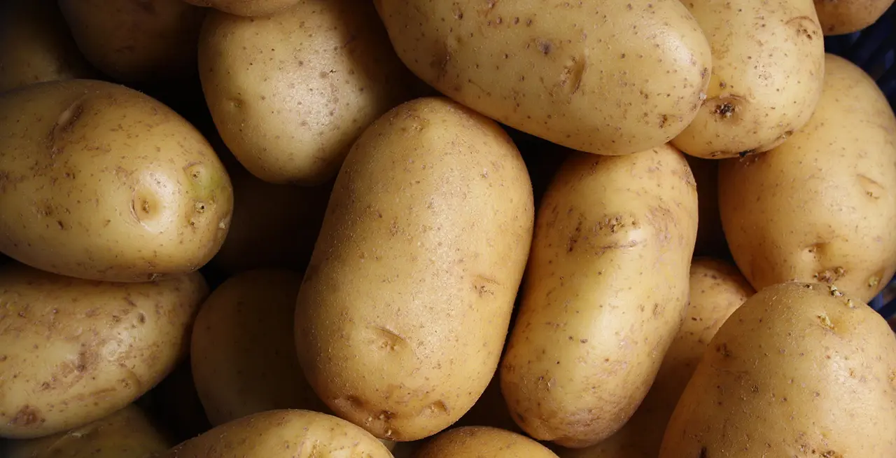 A close-up of multiple fresh, unpeeled potatoes with a golden skin covering the frame.
