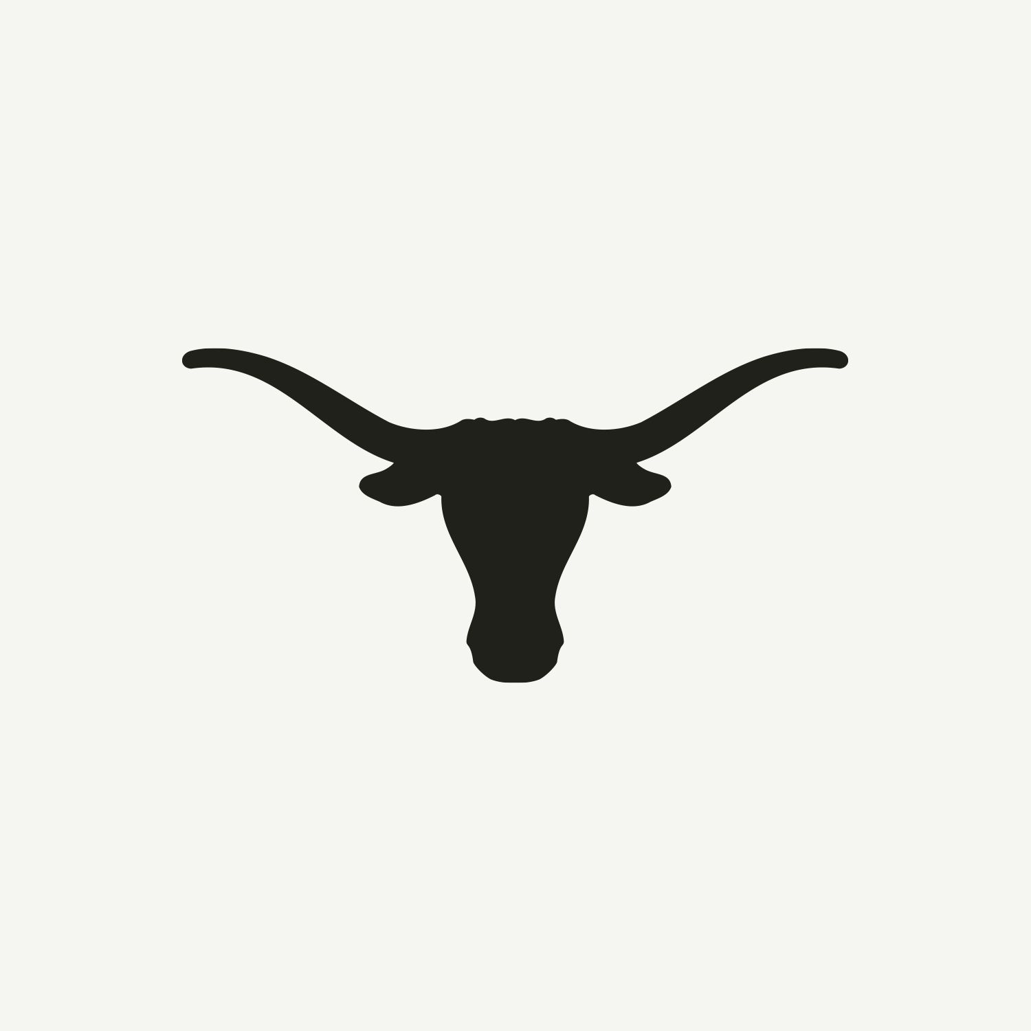 Texas hover logo