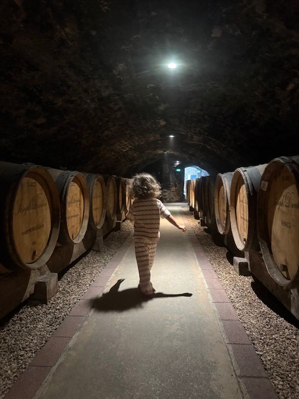 underground vineyard