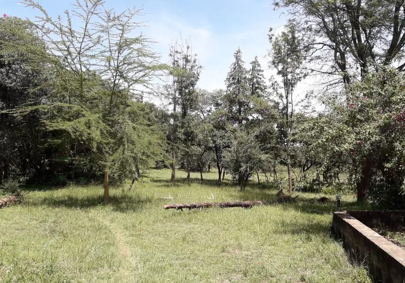 20-Acre Karen Block Next to Mamba Village For Sale — Block Sale