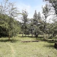 20-Acre Karen Block Next to Mamba Village For Sale — Block Sale