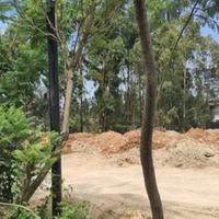 4.5-Acre Triple-Frontage Site For Sale — Ngong Road, Rose Avenue & Kindaruma