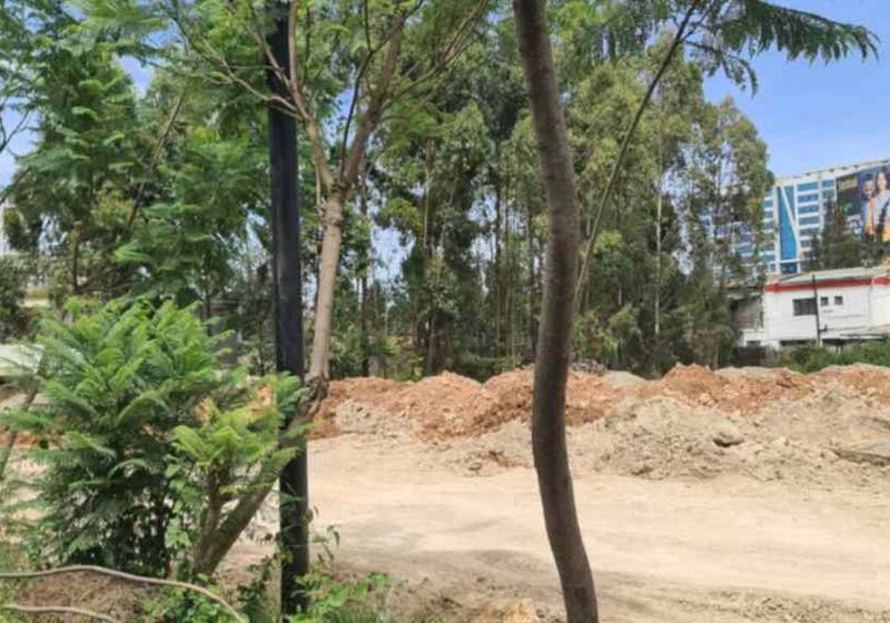 4.5-Acre Triple-Frontage Site For Sale — Ngong Road, Rose Avenue & Kindaruma