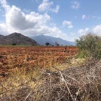 10,000-Acre Fo Sale Voi Land — Strategic Agricultural Corridor — KES 700K per Acre