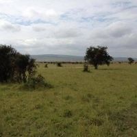 Maanzoni Estate – Plot 19754 For Sale