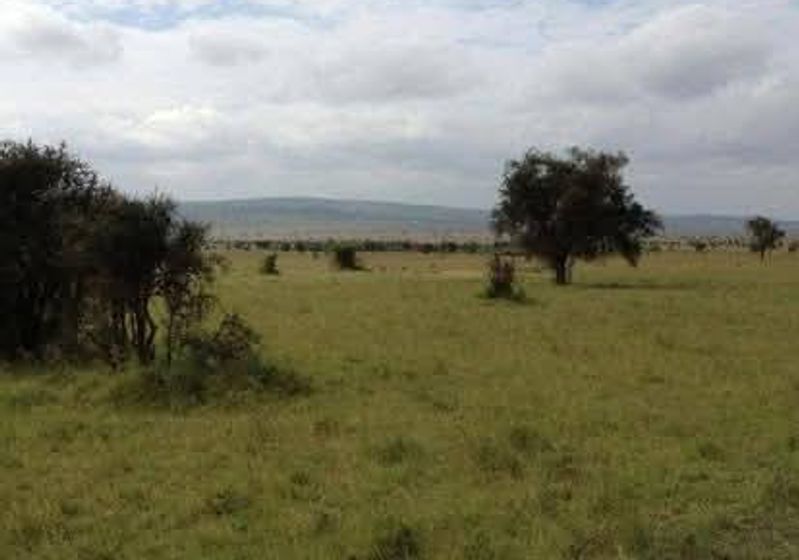 Maanzoni Estate – Plot 19754 For Sale