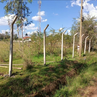 3.5-Acre Garden Estate Land with School For Sale — KES 600M
