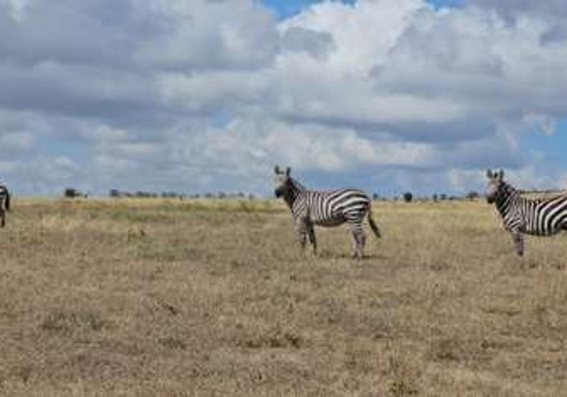Maanzoni Estate – Plot 19753 For Sale