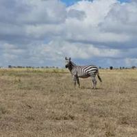 Maanzoni Estate – Plot 19753 For Sale