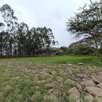 Half-Acre Residential Plot For Sale in Ridgeways, Nairobi
