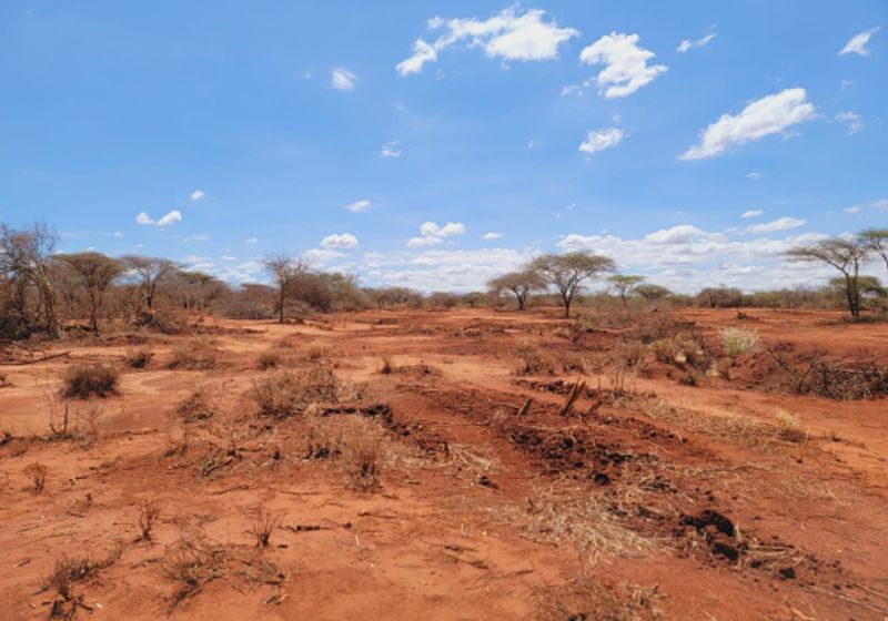 9,000-Acre Land For Sale in Taita Taveta — KES 500K per Acre