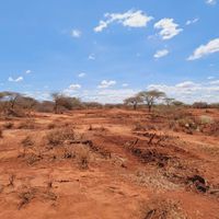 9,000-Acre Land For Sale in Taita Taveta — KES 500K per Acre