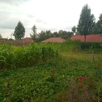 10-Acre Kitsuru Land Under Succession For Sale — KES 130M