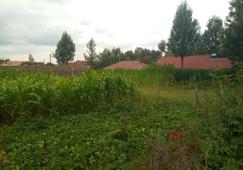 10-Acre Kitsuru Land Under Succession For Sale — KES 130M