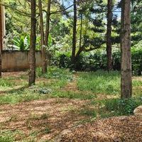 5.47-Acre Prime Redevelopment Land For Sale in Upper Hill, Nairobi
