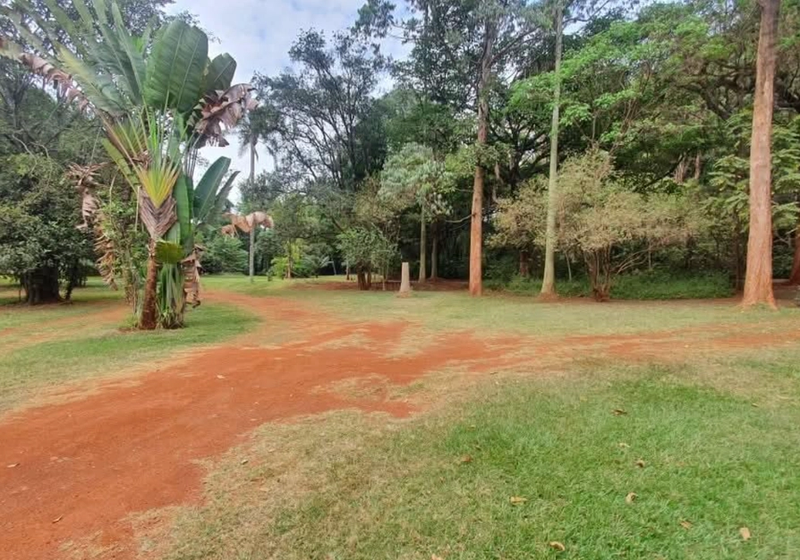 2.5-Acre Runda Redevelopment Site For Sale — Block Sale