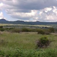 12 Acres Near Daystar University For Sale— 2.5km from Mombasa Road — KES 18M per Acre