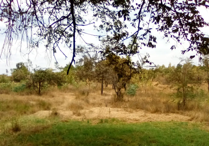 425-Acre Makuyu Ridge Farm For Sale — KES 5M per Acre