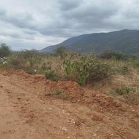 70 Acres — 8km from Namanga on Kenya–Tanzania Border For Sale — KES 400K per Acre