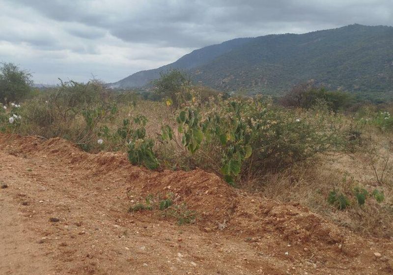 70 Acres — 8km from Namanga on Kenya–Tanzania Border For Sale — KES 400K per Acre