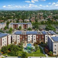Project Stampede Portfolio