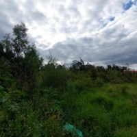 4-Acre Karen Plot Along Langata Road For Sale — Appointment Only