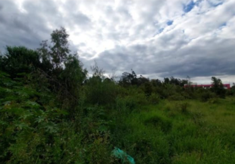 4-Acre Karen Plot Along Langata Road For Sale — Appointment Only
