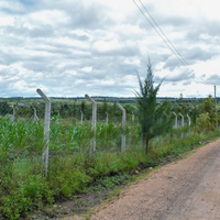 2-Acre Plot Subdivided into 1/8-Acre Plots For Sale Near Olerai School, Kiserian–Isinya Road