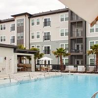 The Lively Murrells Inlet — Murrells Inlet, South Carolina