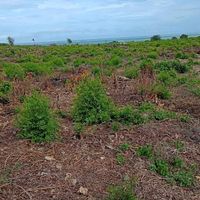 Malindi Beachfront Land – 2nd Row Malaika Beach (9 acres) For Sale