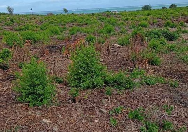 Malindi Beachfront Land – 2nd Row Malaika Beach (9 acres) For Sale
