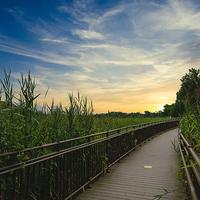 The Hartlan — Linden, New Jersey