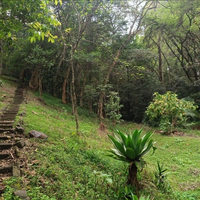 7-Acre Land Along Ngecha Road, Kitsuru For Sale — USD 12M