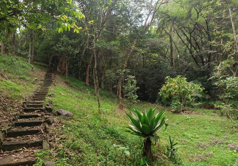 7-Acre Land Along Ngecha Road, Kitsuru For Sale — USD 12M