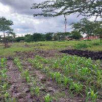 South B – Dunga Road Mega Development SiteFor Sale