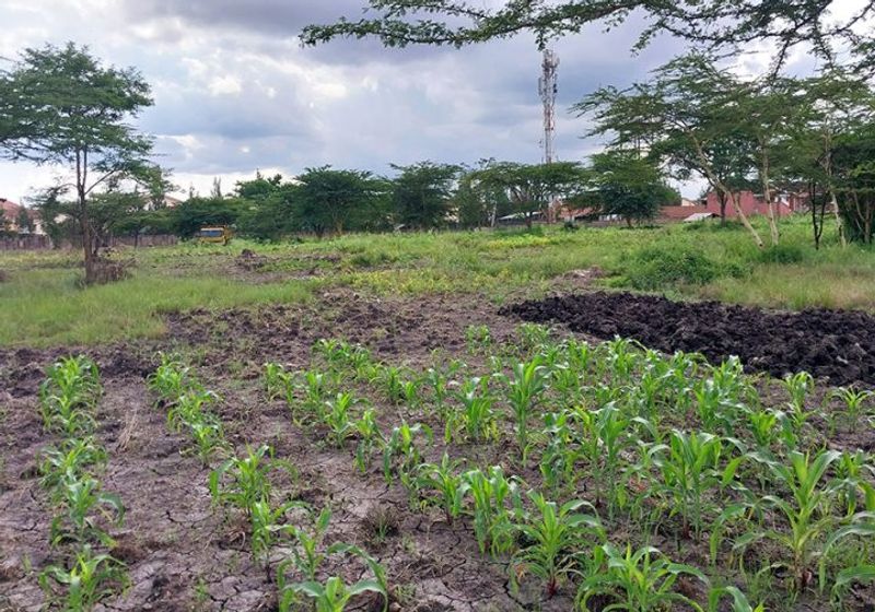 South B – Dunga Road Mega Development SiteFor Sale
