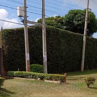 Half-Acre Front Row Northern Bypass Plot For Sale in Thome — KES 70M