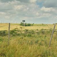 4 Plots of ¼ Acre Each Along Kiserian–Isinya Road For Sale— KES 3M Each
