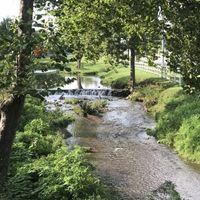 Saddlebrook at Tate's Creek — Lexington, Kentucky