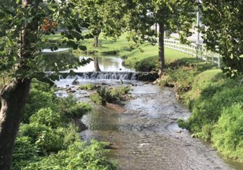 Saddlebrook at Tate's Creek — Lexington, Kentucky