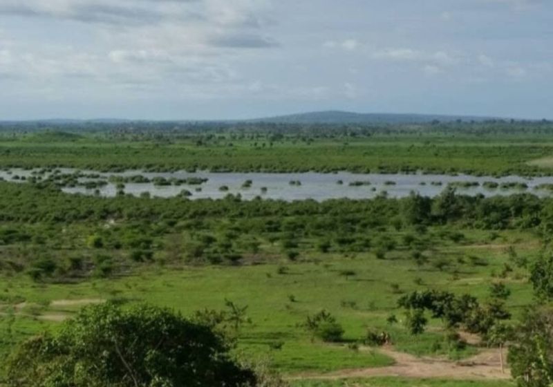 Malindi Airport Adjacent Undeveloped Farm – 69 acres For Sale