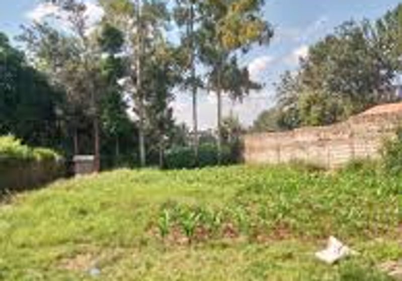 3/4-Acre Commercial Front Row Plot For Sale in Thindigua, Kiambu Road — KES 195M