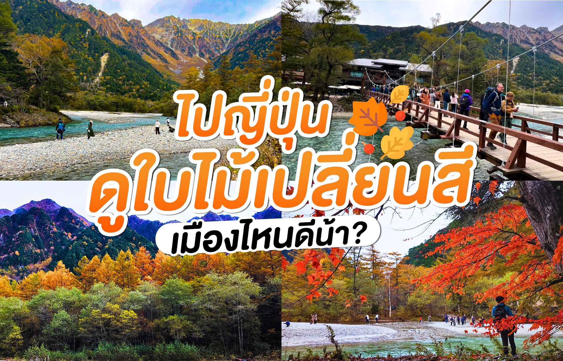 ไปญี่ปุ่นดูใบไม้เปลี่ยนสี เมืองไหนดีน้า? ไปญี่ปุ่นดูใบไม้เปลี่ยนสี เมืองไหนดีน้า?