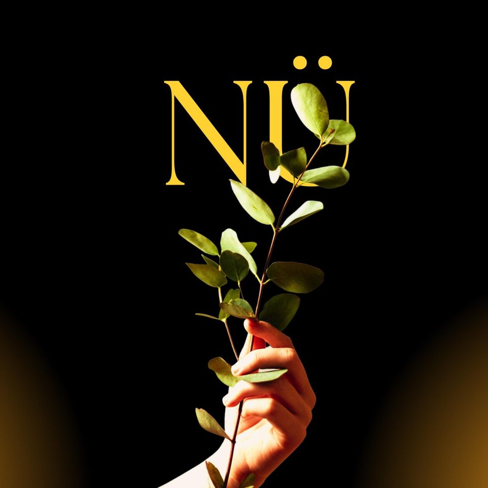 Nü Piano Sonata cover artwork
