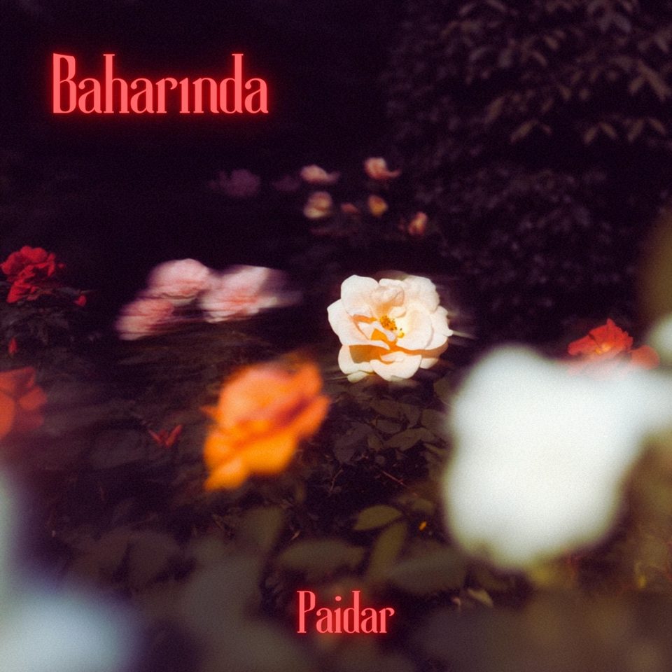 Baharında cover artwork