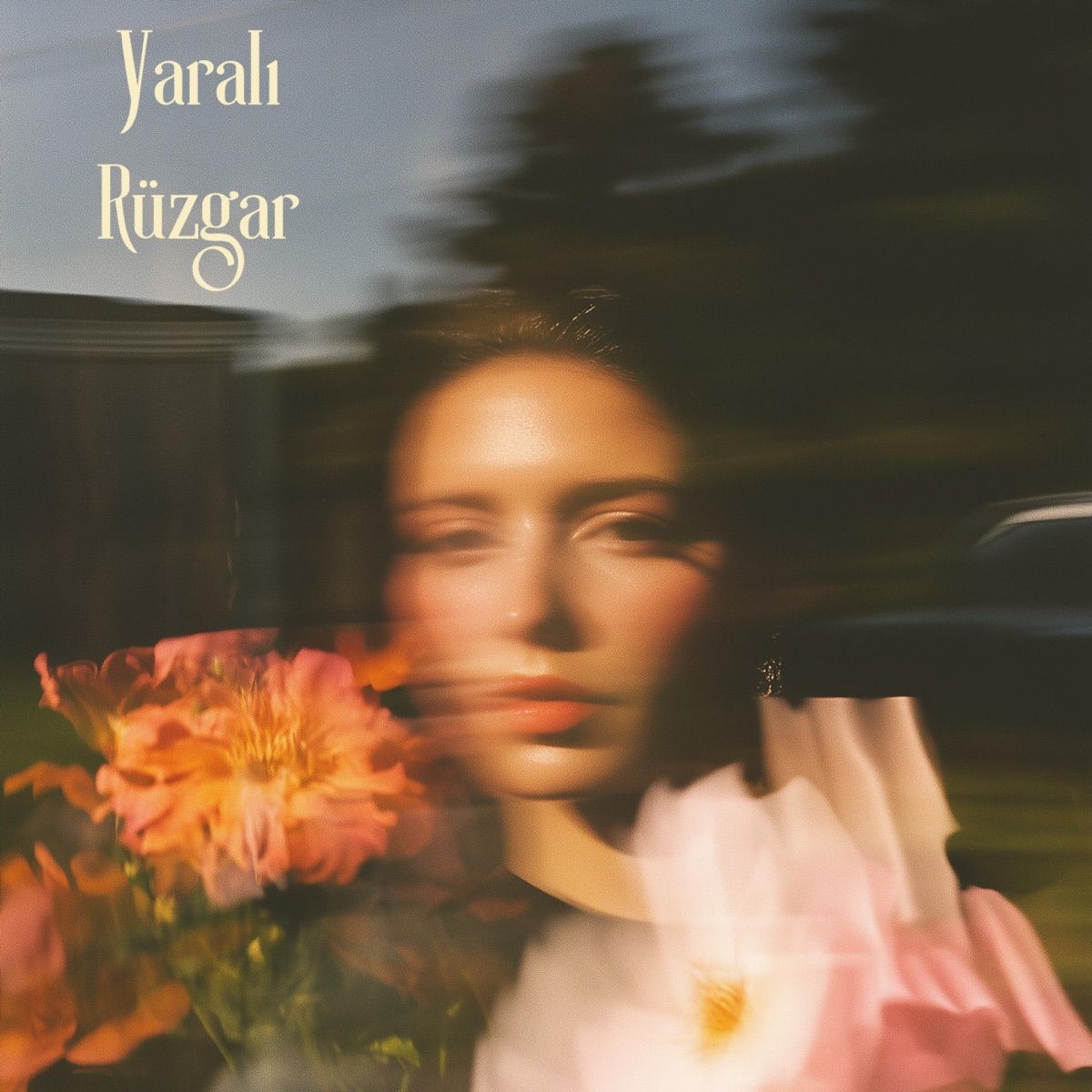 Yaralı Rüzgar cover artwork
