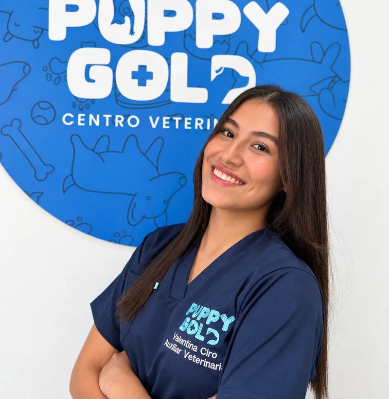 Integrante del equipo de Puppy Gold